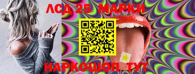 амф Сланцы