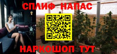 амф Сланцы