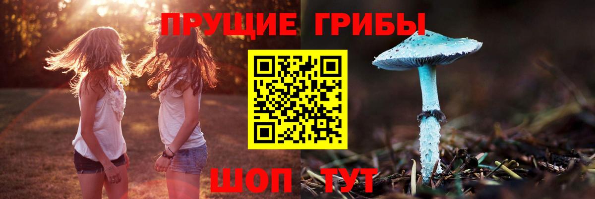 Псилоцибиновые грибы мухоморы Наро-Фоминск